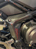 Triumph Tiger 800 Ramen Verkleidung 100% Carbon 2025+.