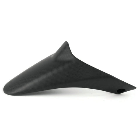 Ducati Monster 1200 Carbon Schutzblech Fender Garde Boue 2