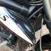 Triumph 765 Street Triple Carbon Verkleidung Side Covers Plaque latérales 1